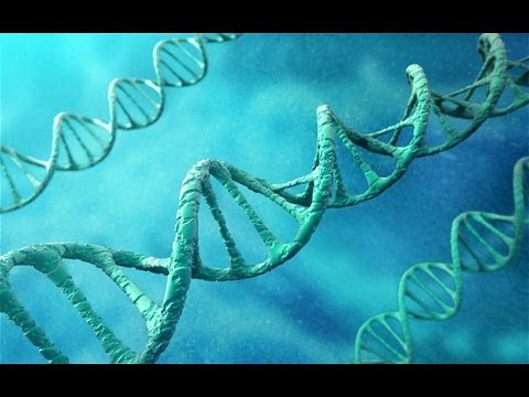 WTF!! G.M.O. Humans Are Upon Us With DARPA's 47th Chromosome