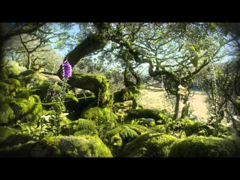 BBC Life 2009 - Plants HD