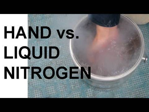 Hand vs. Liquid Nitrogen and the Leidenfrost Effect