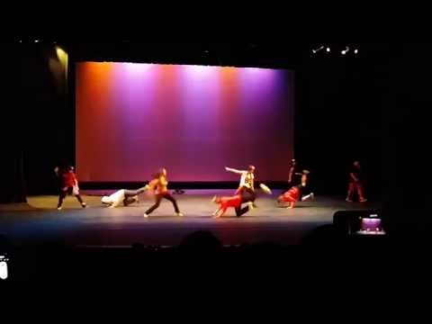 Troy High Culture Show 2014: K-pop