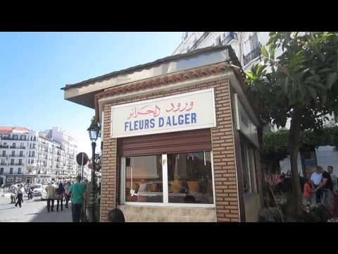 Algiers | Street Scenes Around 