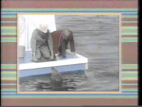 Captain Kangaroo Openings (1987)