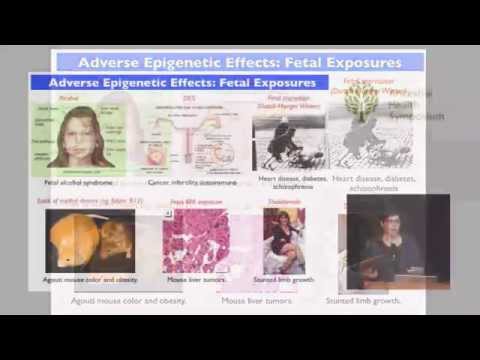 Epigenetics & the Multigenerational Effects of Nutrition, Chemicals and Drugs — Jill Escher (AHS14)