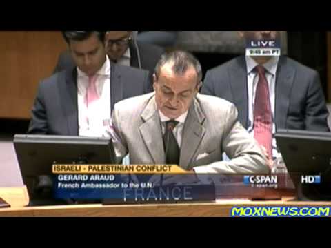 United Nations Security Council Meeting On The Israeli Invasion Of Gaza 2014