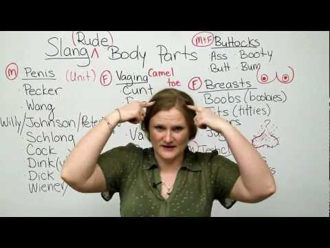 Rude slang for body parts - COCK, PUSSY, ASS, BALLS :D