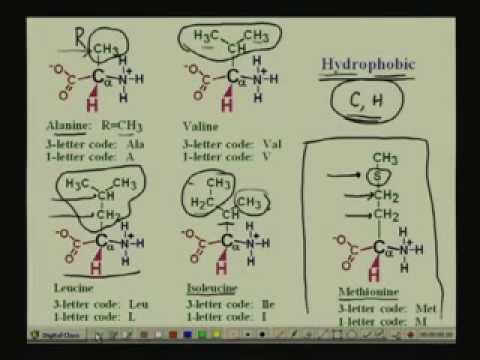 Lecture - 1 Amino Acids I