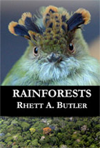 Rainforest book for kids