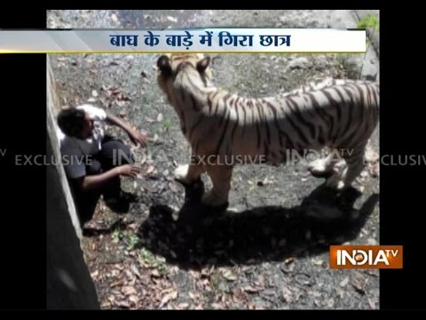 Youth mauled to death by white tiger at Delhi Zoo