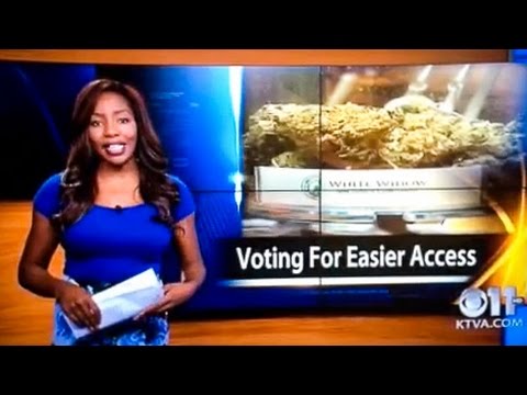 KTVA reporter quits on-air, reveals herself as owner of Alaska Cannabis Club