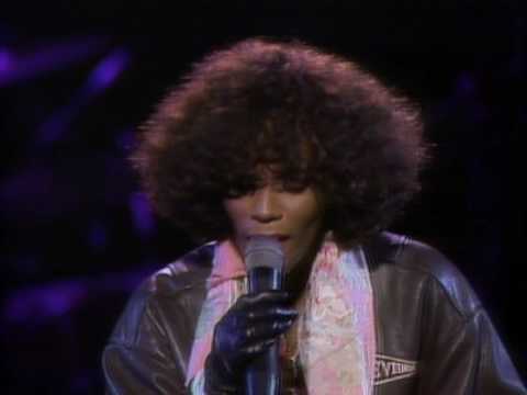 Whitney Houston - Didn't We Almost Have It All