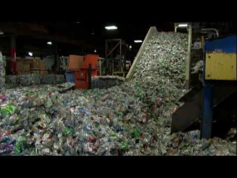 Environmental Impact of Plastic Water Bottles