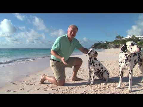 KPMG in Bermuda Recruitment Video