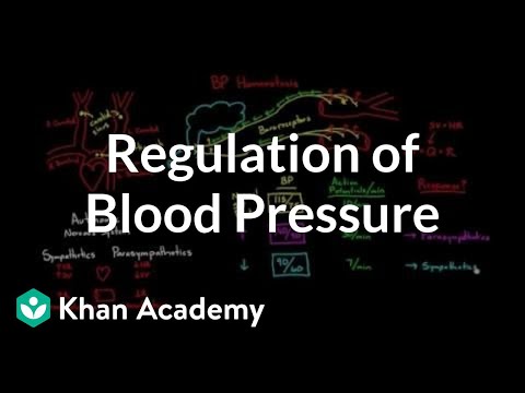 Regulation of blood pressure with baroreceptors