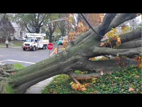 PSEG responds to Superstorm Sandy