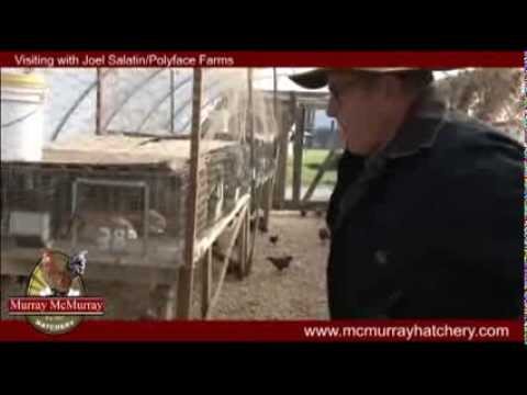 Murray McMurray Hatchery visits Joel Salatin and Polyface Farms