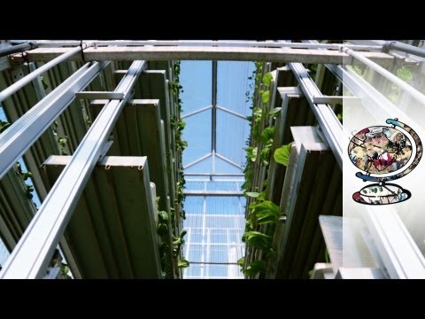 The Singapore Vertical-Farms that herald an Agricultural Revolution