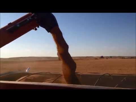 Jonsson Farms Harvest Movie 2013