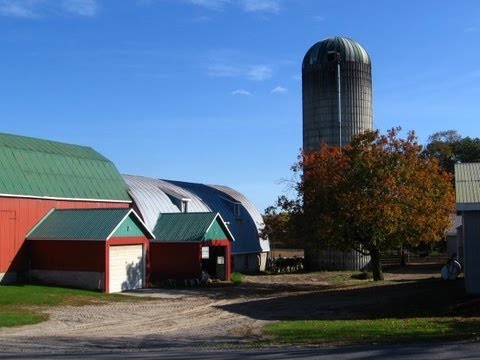 Dairy Farming - Sine Farms