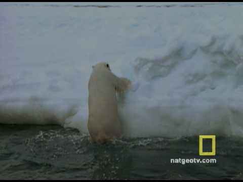 Exploring Oceans: Arctic