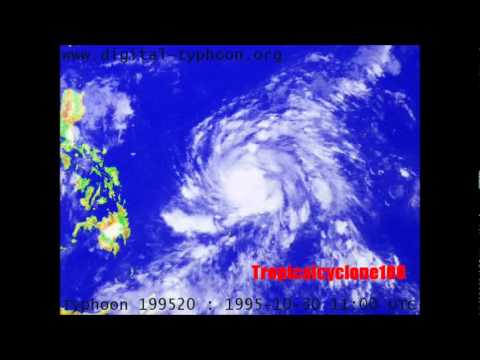 Super Typhoon Angela (1995)