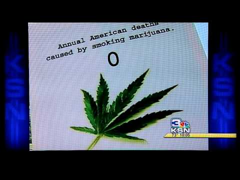 Global Million Man Marijuana March 2011, Wichita,KS (News Story)