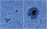 Facets of Solar Magnetic Fields