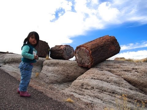 Fossil Adventures with Kids at Petrified Forest National Park