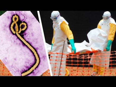 Ebola Outbreak Still Accelerating In West Africa (UPDATE)