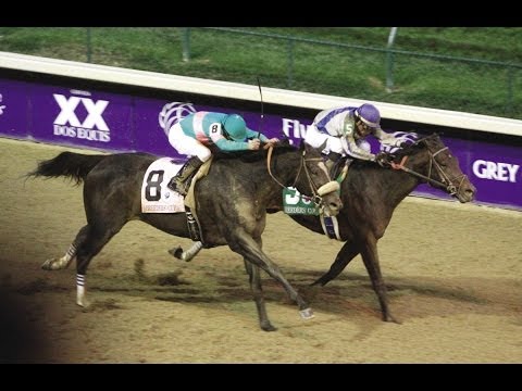 BLAME - 2010 Breeders Cup Classic + Pre & Post Race