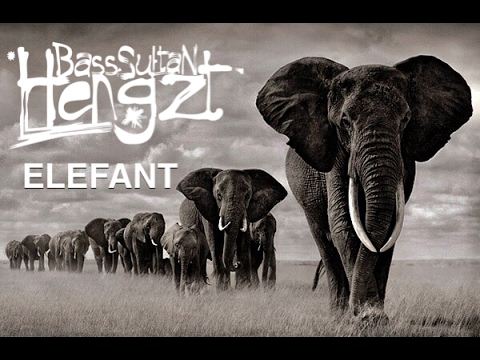 B.S.H (Bass Sultan Hengzt) - ELEFANT