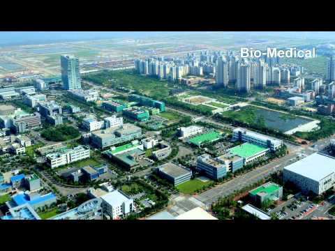 Incheon Free Economic Zone, Northeast Asia Economic Centralization