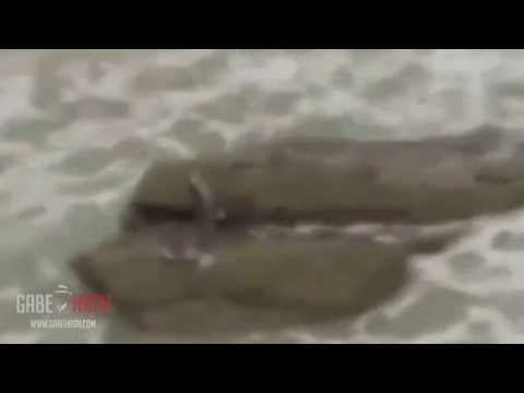 MERMAID RECORDED IN ISRAEL? MAY 29, 2013 (EXPLAINED)