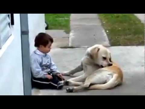 A child with Down syndrome and his labrador ! Must watch