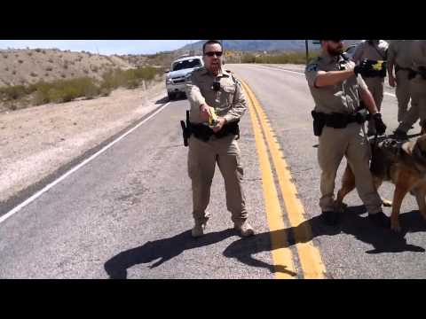 Ranch Riot!! Bundy Ranch Protesters Tasered by Federal Agents and Attacked by K9's.