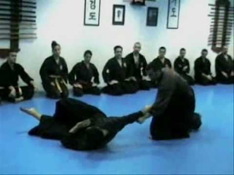 HAPKIDO ENTRENAMIENTO ANUAL ANTONIO M.CAMINO 2008