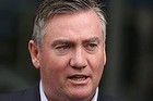 Eddie McGuire, feminist. 