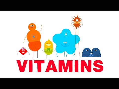 How do vitamins work? - Ginnie Trinh Nguyen