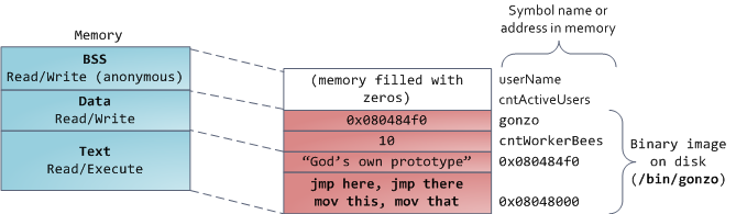 ELF Binary Image Mapped Into Memory