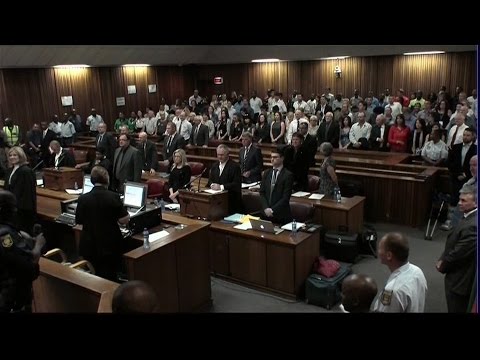 Oscar Pistorius Sentencing Day 2