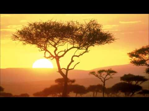 Relax Music - Around The World - Africa - ONE HOUR of stressless african instrumental music