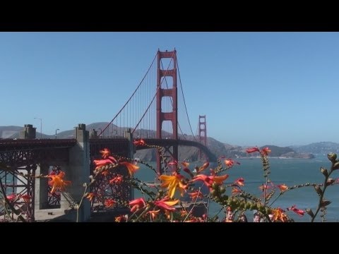 San Francisco City Tour - California - U.S.A.