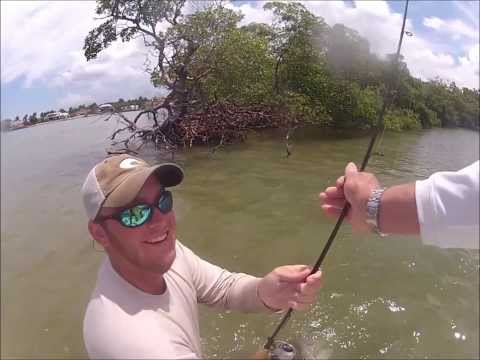 Big Snook in Southwest Florida! June 2013