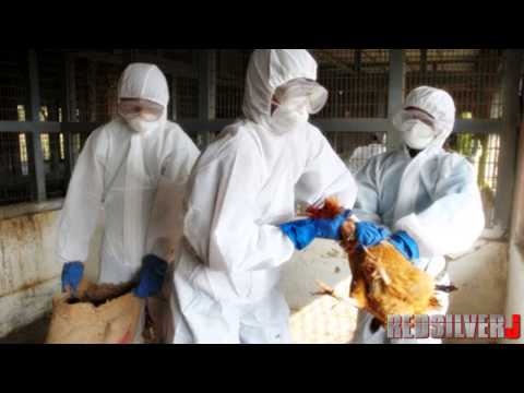 Ebola Virus Outbreak is a HOAX! Same Story! Different Epidemic! (Redsilverj)