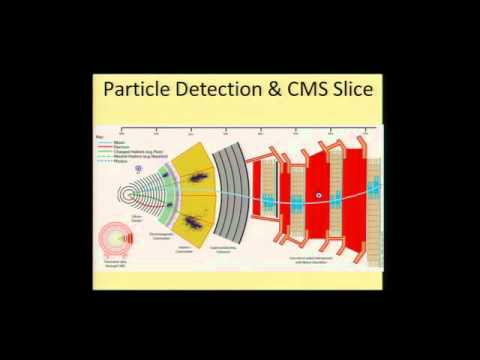 The Standard Model: Fundamental Forces and the Origin of Mass