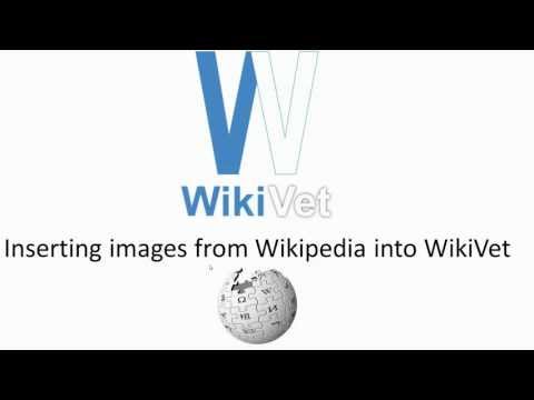 How to insert copyright-free images from Wikipedia into WikiVet