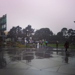 Rainy Monday on the quad. Stay dry, Gators! #SFSU