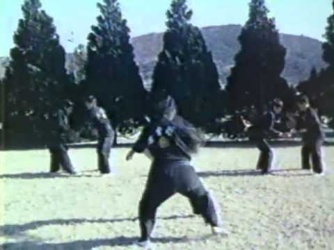 Korean Martial Arts