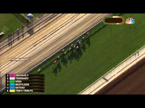 2014 Breeders' Cup Mile