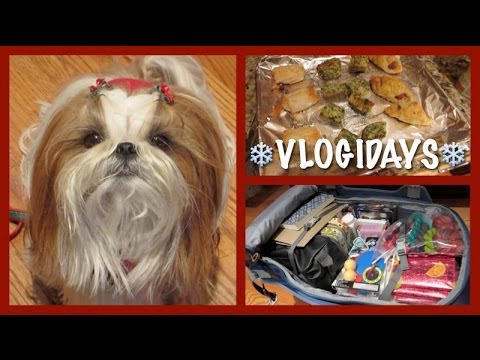 A Big Bag of Stuff (Vlogidays / December 29, 2013)