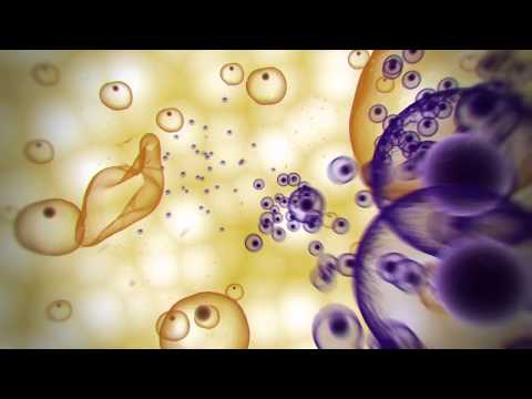 Malaria Lifecycle Animation